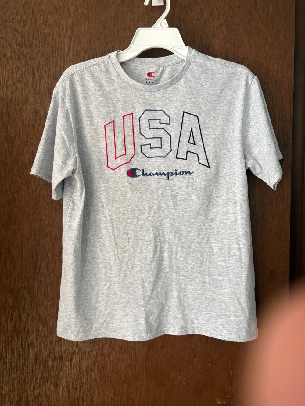 Champion Short Sleeve USA Graphic Tee - Light Gray with Red & Navy